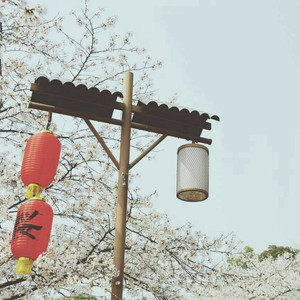 wwwwwww大屌内射粉逼高潮淫叫
